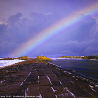 Buy canvas prints of Rainbow over the Breakwater by Nik Taylor