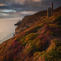 Buy canvas prints of Cornish view at sunset by Nik Taylor