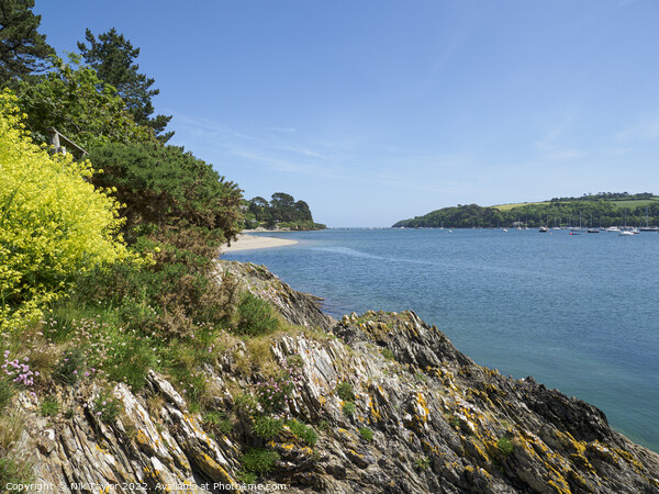 Helford River Picture Board by Nik Taylor