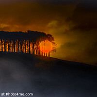 Buy canvas prints of Sunset at the 'Nearly home' trees by Nik Taylor