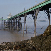 Buy canvas prints of Clevedon pier, Somerset, UK by Nik Taylor