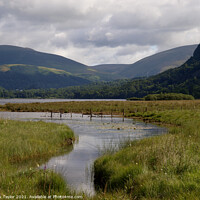 Buy canvas prints of Derwentwater by Nik Taylor