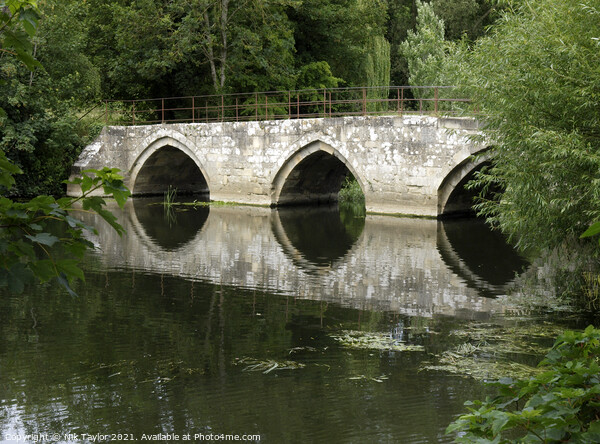 Bridge over the River Avon  Picture Board by Nik Taylor