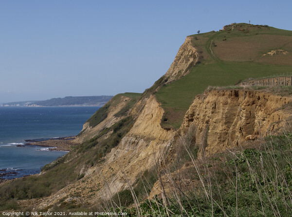 Dorset coastline Picture Board by Nik Taylor