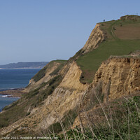 Buy canvas prints of Dorset coastline by Nik Taylor