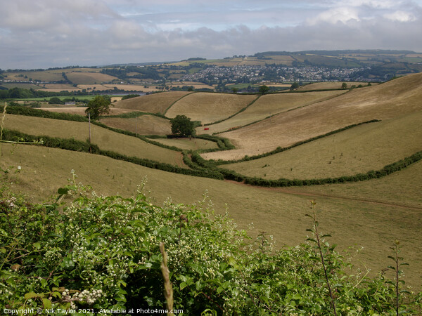 Rolling hills of rural Devon Picture Board by Nik Taylor