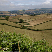 Buy canvas prints of Rolling hills of rural Devon by Nik Taylor