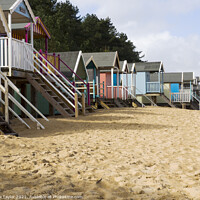 Buy canvas prints of Beach Huts, Wells-next-the-Sea, by Nik Taylor