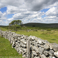 Buy canvas prints of old dry stone wall by Nik Taylor