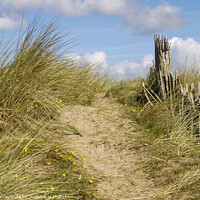 Buy canvas prints of footpath to the beach by Nik Taylor