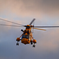 Buy canvas prints of RAF Air Sea Rescue Helicopter. by Nik Taylor