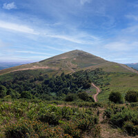 Buy canvas prints of The Malvern Hills by Nik Taylor