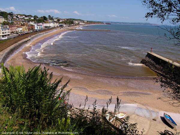 Dawlish from Boat Cove Picture Board by Nik Taylor