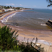 Buy canvas prints of Dawlish from Boat Cove by Nik Taylor
