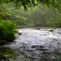 Buy canvas prints of Misty Morning on the River Barle by Nik Taylor