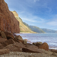 Buy canvas prints of Sidemouth cliffs by Nik Taylor