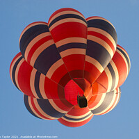 Buy canvas prints of Hot air balloon by Nik Taylor