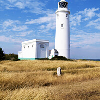 Buy canvas prints of Hurst Point Lighthouse by Nik Taylor