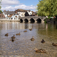 Buy canvas prints of Fordingbridge, New Forest by Nik Taylor