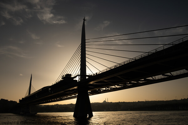 Silhouette of The Metro Bridge at The Golden Horn, Istanbul Picture Board by Engin Sezer