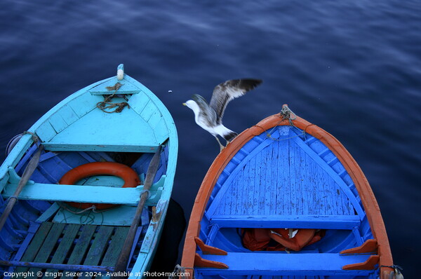 Colorful Fishing Boats and a Little Visitor Picture Board by Engin Sezer