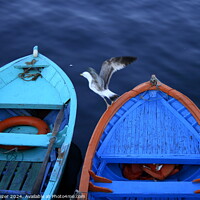 Buy canvas prints of Colorful Fishing Boats and a Little Visitor by Engin Sezer