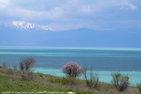 Lake Egirdir at Isparta Turkey in Springtime Picture Board by Engin Sezer