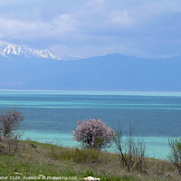 Buy canvas prints of Lake Egirdir at Isparta Turkey in Springtime by Engin Sezer