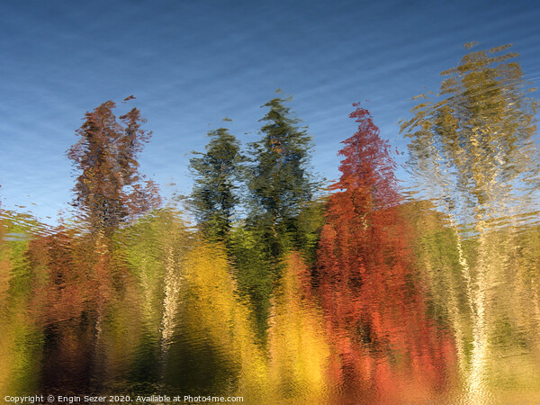 Reflections of Autumn Trees on Water Surface Picture Board by Engin Sezer