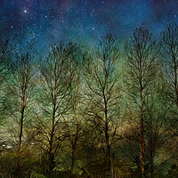 Buy canvas prints of NIGHT SKY TREES MOON & STARS by LG Wall Art