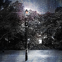 Buy canvas prints of LONELY LAMPOST   by LG Wall Art