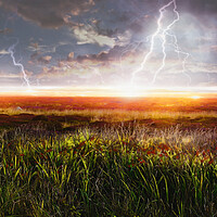 Buy canvas prints of LANDS END FIELD OF LIGHTNING by LG Wall Art