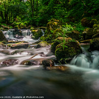 Buy canvas prints of Down Stream & Golitha Falls by David Spence