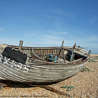 Buy canvas prints of Relics in Dungeness  by Alexandra Lavizzari
