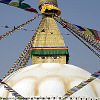 Buy canvas prints of The Tibetan stupa in Bodnath, Nepal by Alexandra Lavizzari