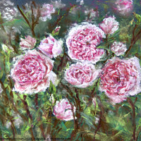 Buy canvas prints of English Roses by Alexandra Lavizzari