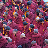 Buy canvas prints of A Gathering of Tibetan Monks  by Alexandra Lavizzari