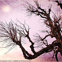 Buy canvas prints of Reaching For The Moon by Alexandra Lavizzari