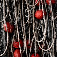 Buy canvas prints of Ropes And Floats by Alexandra Lavizzari