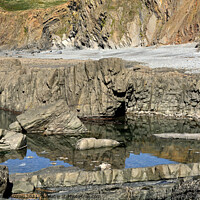 Buy canvas prints of Near Hartland Point  by Alexandra Lavizzari