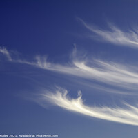 Buy canvas prints of Cirrus Cloud Formation by Rory Hailes