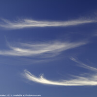 Buy canvas prints of Cirrus Clouds by Rory Hailes