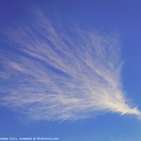 Buy canvas prints of Cirrus cloud by Rory Hailes