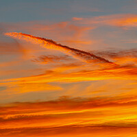 Buy canvas prints of Sunset contrail by Rory Hailes