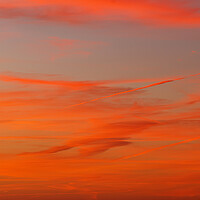 Buy canvas prints of Contrails in a colourful sky by Rory Hailes
