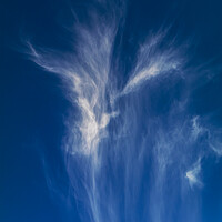 Buy canvas prints of Cirrus clouds by Rory Hailes