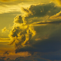 Buy canvas prints of Large cumulus cloud by Rory Hailes