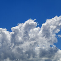 Buy canvas prints of Cumulus clouds by Rory Hailes