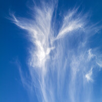 Buy canvas prints of Cirrus clouds against a deep blue sky by Rory Hailes