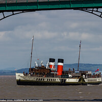Buy canvas prints of PS Waverly coming into Clevedon Pier by Rory Hailes